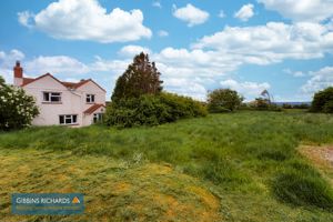 Garden- click for photo gallery